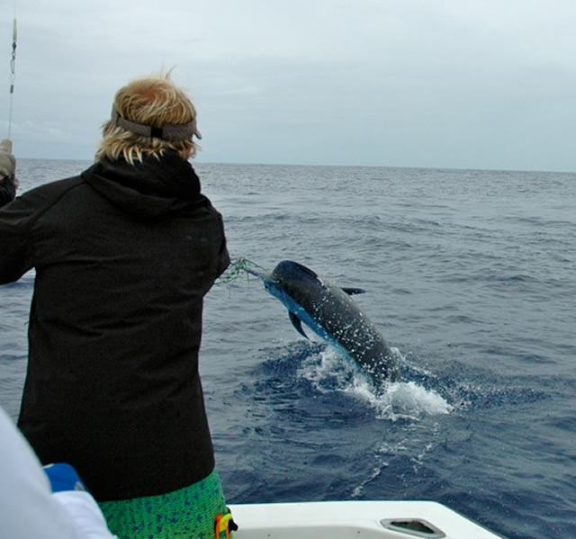 Red Tuna  Habitat Sportfishing from Azores, Portugal - Pocket Tees - Red Tuna  Shirt Company